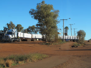 A very long road train snakes beside the road