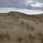 The grey dunes, Curonian Spit