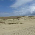 Alongside the 'dead' dunes