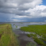 Coming storm, wetlands near Oulu